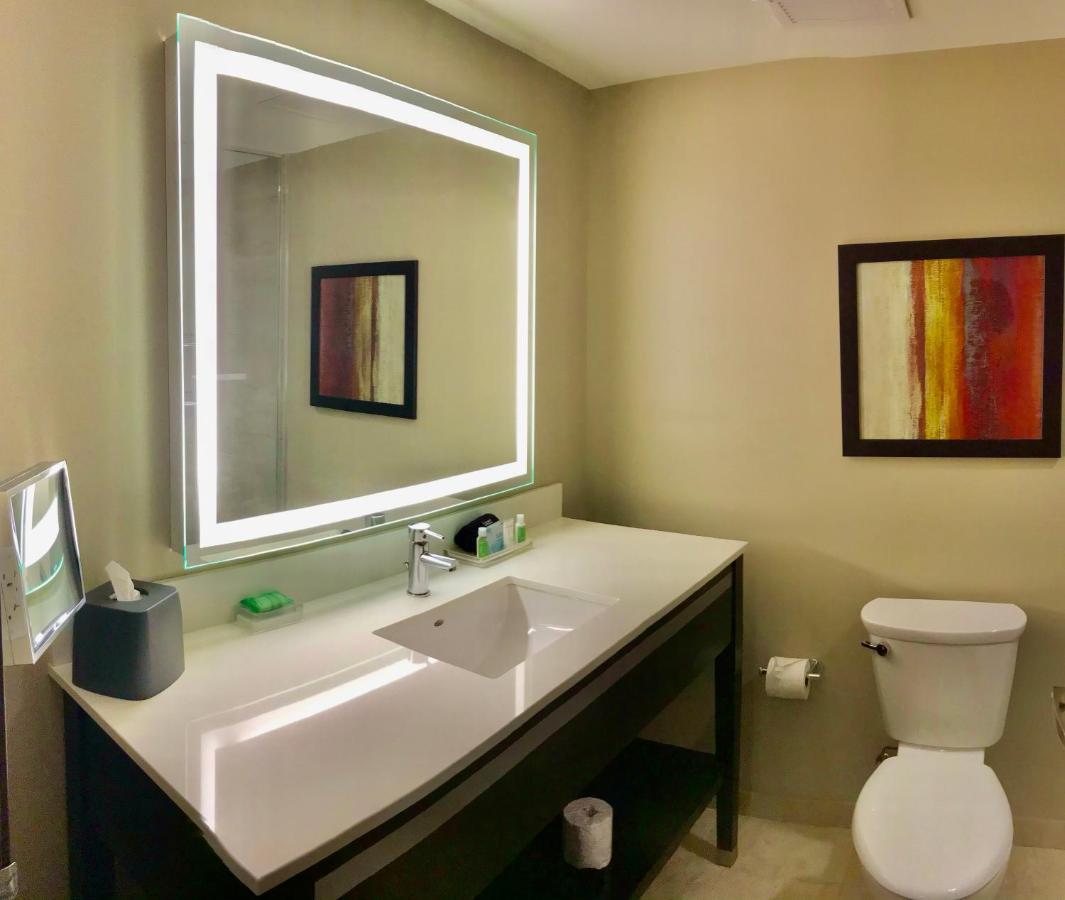 Holiday Inn Chicago Schaumburg By Ihg Екстер'єр фото